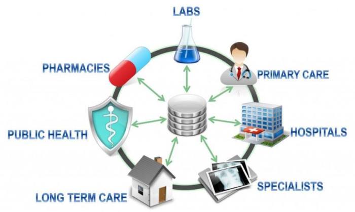 Interoperability healthcare technology health care systems innovations data information exchange between overview benefits medical example continuum organizations across public software
